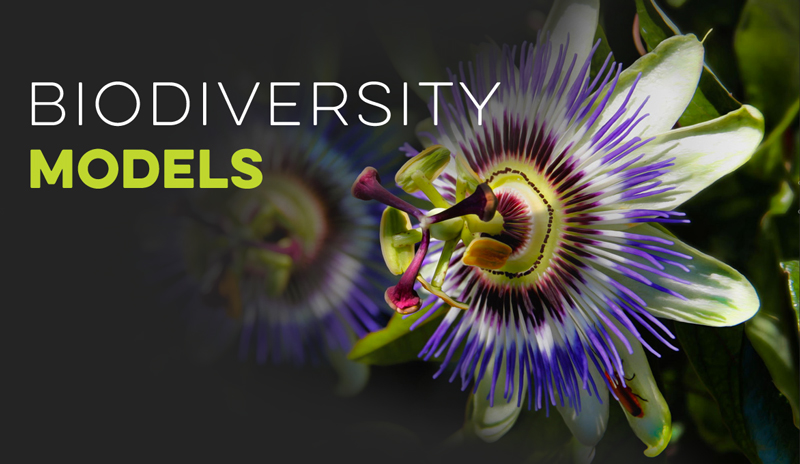 Biodiversity Ecology Banner for Ecology Models - Virtual Biology Lab