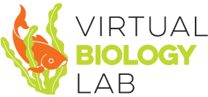 living-environment-virtual-labs