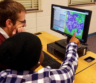 Students utilize the Virtual Biology Lab models