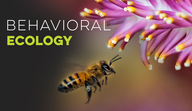 Behavioral Ecology Banner for Ecology Models - Virtual Biology Lab