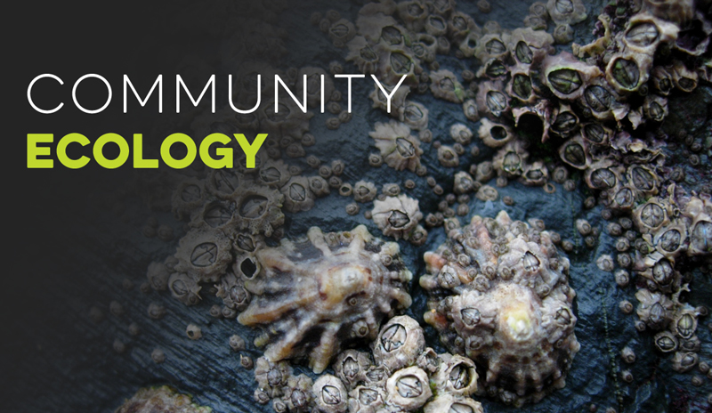 Community Ecology Banner for Ecology Models - Virtual Biology Lab