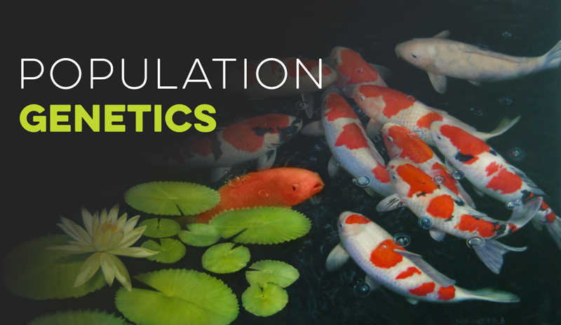 Population Genetics Banner for Evolution Models - Virtual Biology Lab