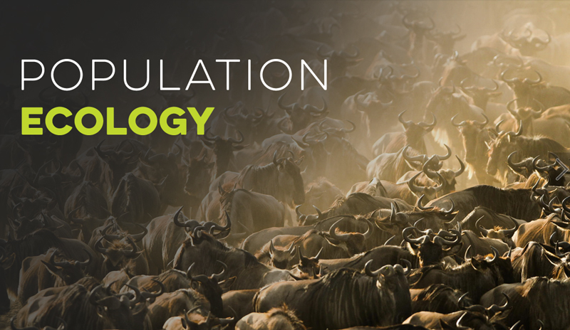 Population Ecology Banner for Ecology Models - Virtual Biology Lab