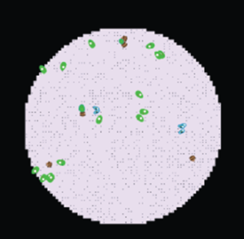 Screenshot of Microcosm Model - Virtual Biology Lab